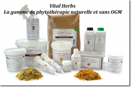 produits vital herbs