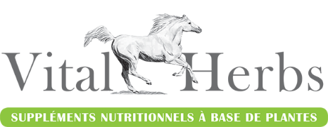 logo vital herbs